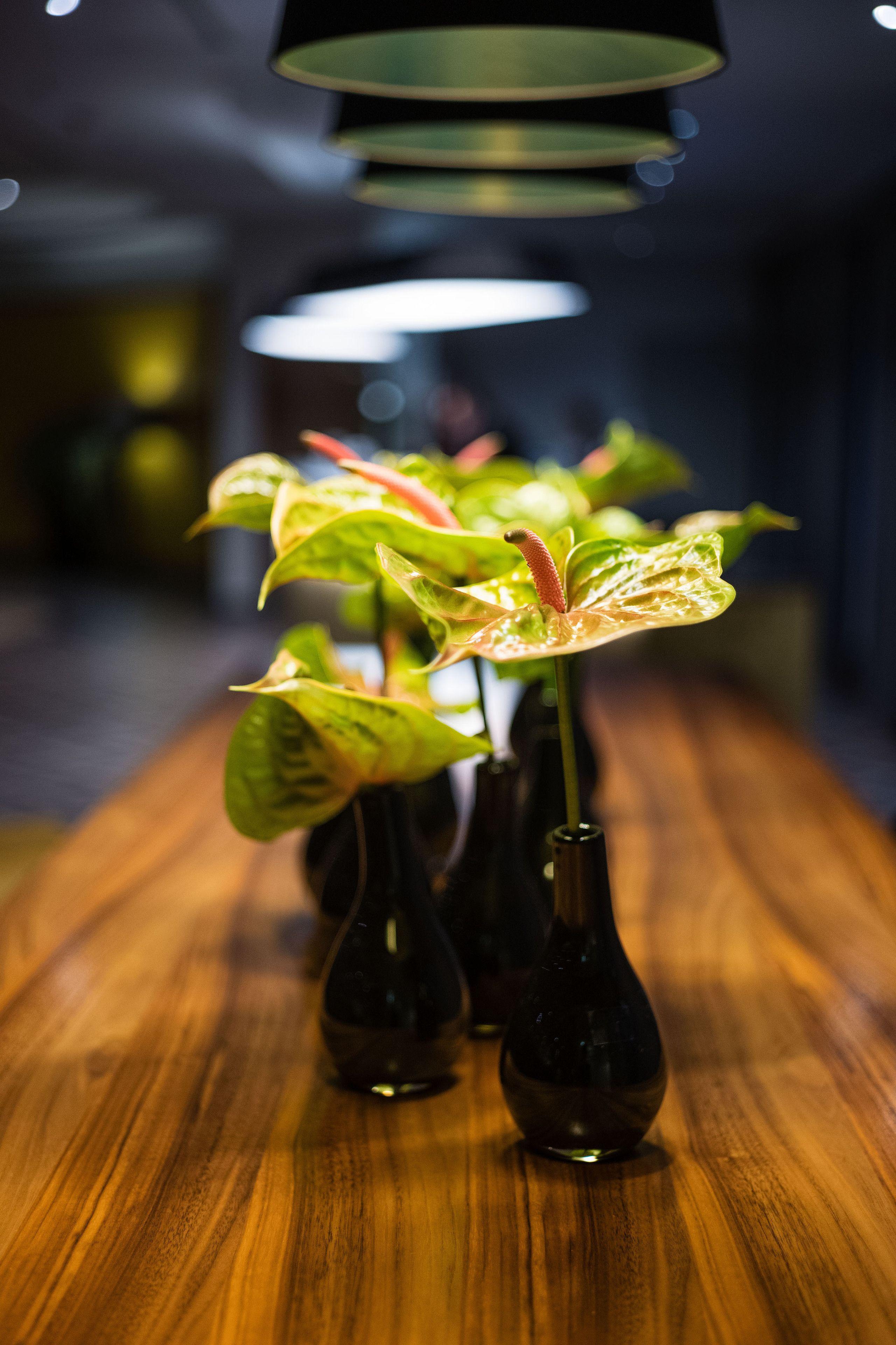 Sheraton Airport Hotel