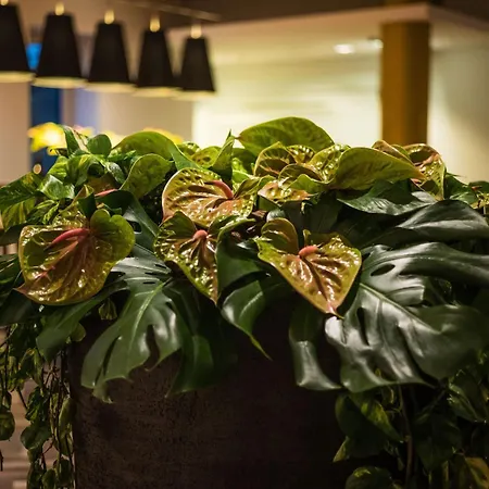Sheraton Airport